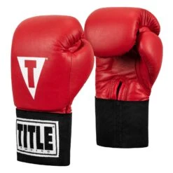 TITLE Boxing USA Boxing Competition Gloves - Elastic -Knockout Gear ACGES RD 02