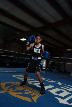 TITLE Boxing USA Boxing Competition Gloves - Elastic -Knockout Gear ACGESBL 1