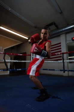 TITLE Boxing USA Boxing Competition Gloves - Elastic -Knockout Gear ACGESRD 3