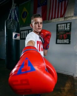 TITLE Boxing Throwback 1998 Anniversary Bag Glove -Knockout Gear AVTFBGRDBL 6 6