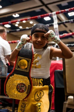 TITLE Boxing Triple Platinum Title Belt -Knockout Gear CLTB203BK 1