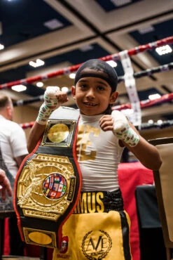 TITLE Boxing Triple Platinum Title Belt -Knockout Gear CLTB203BK 2