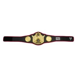 TITLE Boxing Triumphant Wings Of Victory Belt 16 TITLE Boxing Triumphant Wings Of Victory Belt -Knockout Gear CLTB212 BK 6