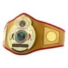 TITLE Boxing Gold Flash Title Belt 2 TITLE Boxing Gold Flash Title Belt -Knockout Gear CLTB215 GD 1