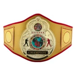 TITLE Boxing Gold Flash Title Belt -Knockout Gear CLTB215 GD 2