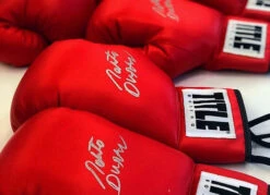 TITLE Boxing Legacy Autograph Gloves 2.0 -Knockout Gear EABG2RD2