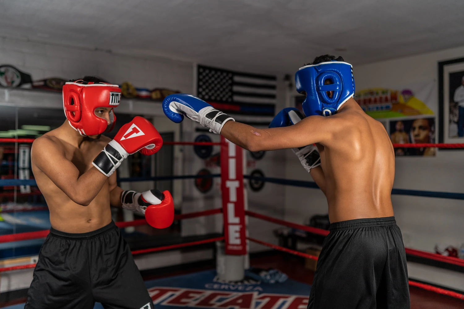 TITLE Boxing Leather Sparring Headgear 9 TITLE Boxing Leather Sparring Headgear - Image 7