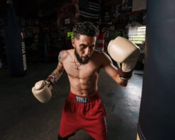 TITLE Boxing Honorary Bag Gloves 35 TITLE Boxing Honorary Bag Gloves -Knockout Gear GOSBGTNMR 1