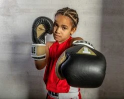 TITLE Boxing Gel World V2T Bag Gloves 40 TITLE Boxing Gel World V2T Bag Gloves -Knockout Gear GTWBGV2T BK GD WH