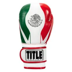 TITLE Boxing Infused Foam El Combate Mexico Training Gloves -Knockout Gear HIFXTG 3