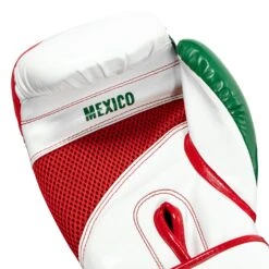 TITLE Boxing Infused Foam El Combate Mexico Training Gloves -Knockout Gear HIFXTG 5