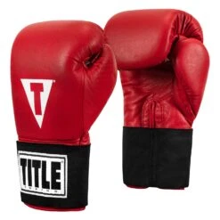 TITLE Boxing Masters USA Boxing Competition Gloves - Elastic -Knockout Gear MACGES RD 02