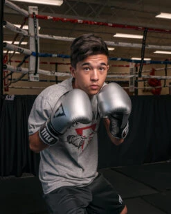 TITLE Platinum Prolific Training Gloves 27 TITLE Platinum Prolific Training Gloves -Knockout Gear PLTGSVBK 1 2