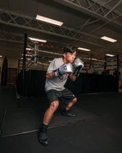 TITLE Platinum Prolific Training Gloves 33 TITLE Platinum Prolific Training Gloves -Knockout Gear PLTGSVBK 1 3