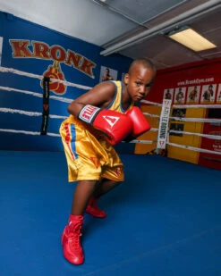 TITLE Boxing Pro Corner Cushions V3P – Set Of 4 -Knockout Gear PRCC3SWH 1