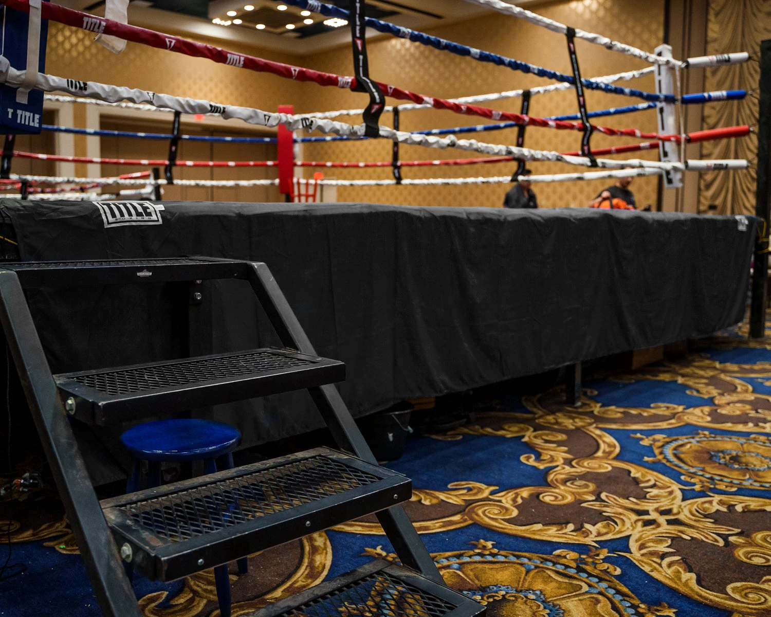 TITLE Boxing Professional Ring Skirt 3.0 4 TITLE Boxing Professional Ring Skirt 3.0 - Image 2