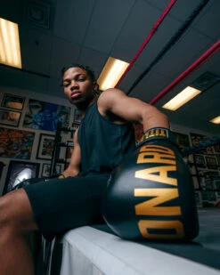 TITLE Boxing Sugar Ray Leonard Leather Bag Gloves 22 TITLE Boxing Sugar Ray Leonard Leather Bag Gloves -Knockout Gear SRLBG 2 2