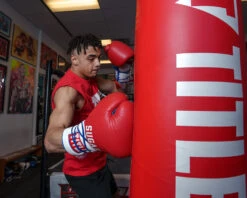 TITLE Boxing Sugar Ray Leonard Signature Leather Sparring Gloves 22 TITLE Boxing Sugar Ray Leonard Signature Leather Sparring Gloves -Knockout Gear SRLSLSG 4 3