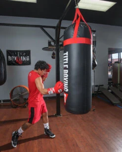 TITLE Boxing Titanic Flex-Strike Heavy Bag 23 TITLE Boxing Titanic Flex-Strike Heavy Bag -Knockout Gear STRK3