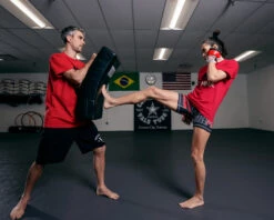 TITLE Boxing Pro Punch Shield 2.0 14 TITLE Boxing Pro Punch Shield 2.0 -Knockout Gear TBSH2BK 2