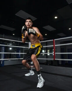 TITLE Boxing Edge Boxing Trunks 2.0 39 TITLE Boxing Edge Boxing Trunks 2.0 -Knockout Gear TBTC2BKGD