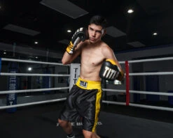 TITLE Boxing Edge Boxing Trunks 2.0 36 TITLE Boxing Edge Boxing Trunks 2.0 -Knockout Gear TBTC2BKGD2