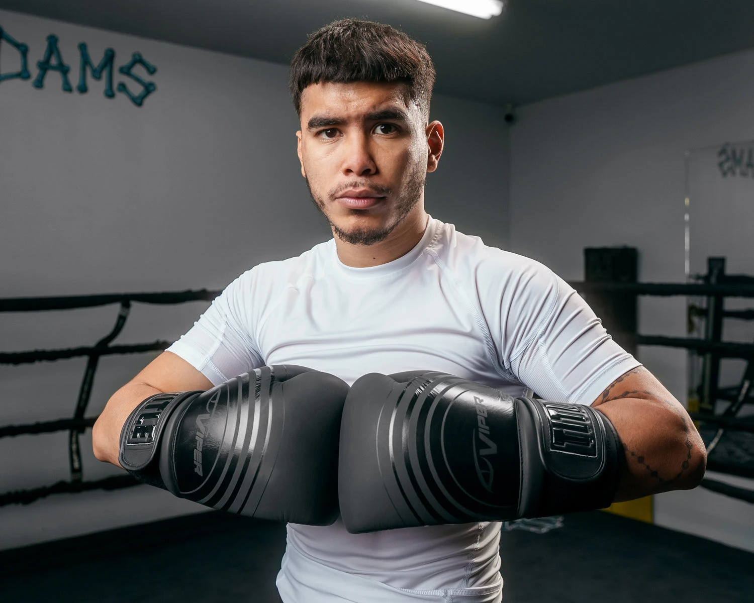 Viper By TITLE Boxing Select Training Gloves 2.0 12 Viper By TITLE Boxing Select Training Gloves 2.0 - Image 10