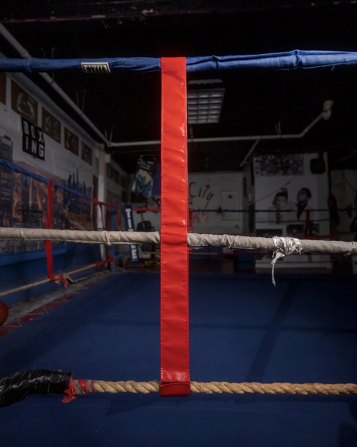 TITLE Boxing Two-Sided Rope Spacers - Blank 7 TITLE Boxing Two-Sided Rope Spacers - Blank - Image 5