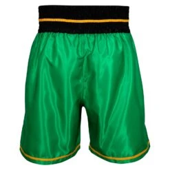 WBC By TITLE Boxing Professional Boxing Trunks -Knockout Gear WBCBT GN BK 3
