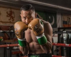 WBC By TITLE Boxing Jose Sulaiman Leather Gloves -Knockout Gear WBCJPFG