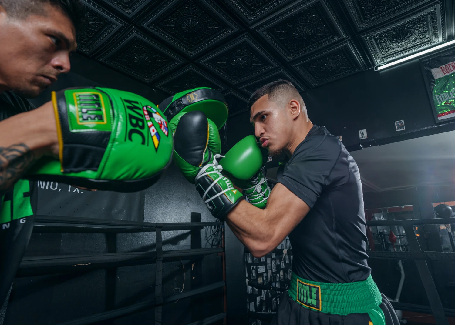 WBC By TITLE Boxing Focus Mitts 4 WBC By TITLE Boxing Focus Mitts - Image 2
