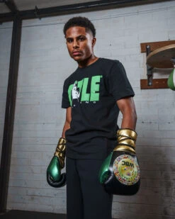 WBC By TITLE Boxing Green Belt Sparring Gloves -Knockout Gear WGBSGBKGD 2