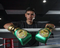 WBC By TITLE Boxing Green Belt Sparring Gloves -Knockout Gear WGBSGGDGNBK 2