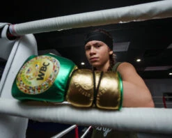 WBC By TITLE Boxing Green Belt Sparring Gloves -Knockout Gear WGBSGGNBK 2