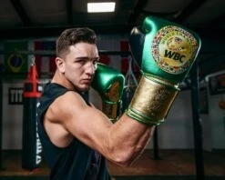 WBC By TITLE Boxing Green Belt Training Gloves 1.0 24 WBC By TITLE Boxing Green Belt Training Gloves 1.0 -Knockout Gear WGBTGGNGDBK 3