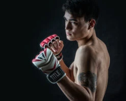 TITLE MMA Command Pro Fight Gloves -Knockout Gear XMCPFG RD