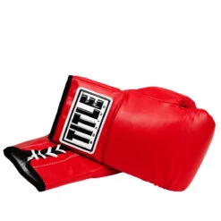 TITLE Boxing Autograph Gloves -Knockout Gear ag2 rd 3