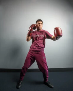 TITLE Boxing Blood Red Leather Bag Gloves 15 TITLE Boxing Blood Red Leather Bag Gloves -Knockout Gear brbg rd 2