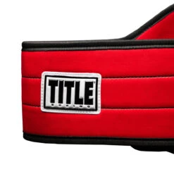 TITLE Boxing World Boxing Champion Title Belt -Knockout Gear cltb20 rd 3