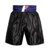 Fighting Professional Boxing Trunks 2 Fighting Professional Boxing Trunks -Knockout Gear fpst bk bl 1 1