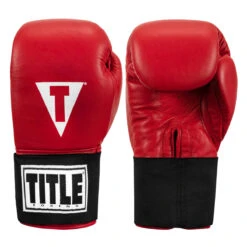 TITLE Boxing Masters USA Boxing Competition Gloves - Elastic -Knockout Gear macges rd 01