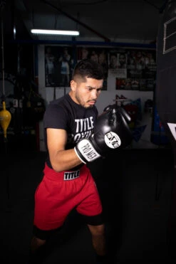 Pro Mex Professional Bag Gloves V3.0 28 Pro Mex Professional Bag Gloves V3.0 -Knockout Gear pmhbg3 bk 2