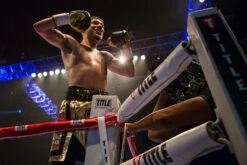 TITLE Boxing Ring Turnbuckle Covers 23 TITLE Boxing Ring Turnbuckle Covers -Knockout Gear prbc lifestyle 2