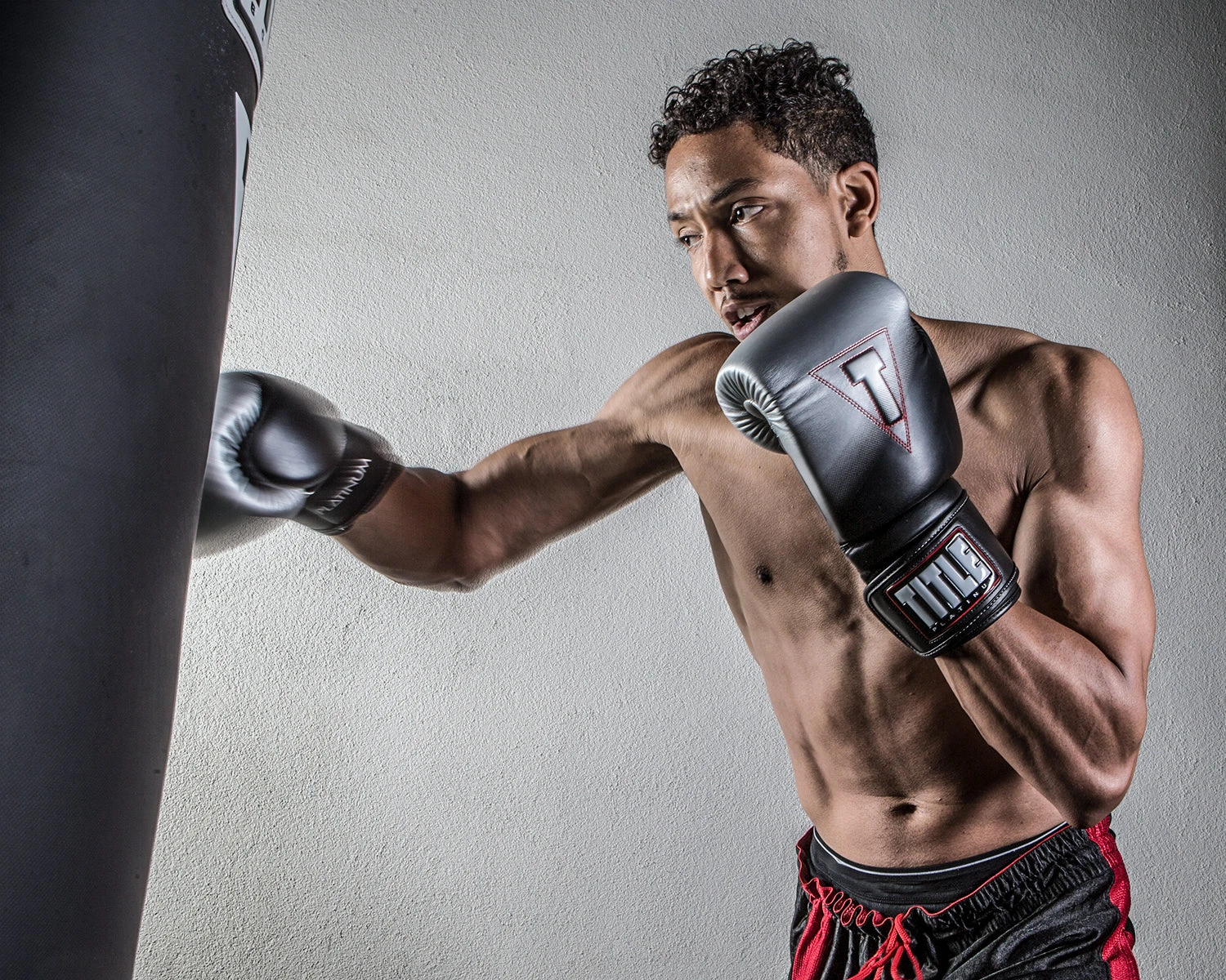 TITLE Platinum Proclaim Power Boxing Bag Gloves 4 TITLE Platinum Proclaim Power Boxing Bag Gloves - Image 2