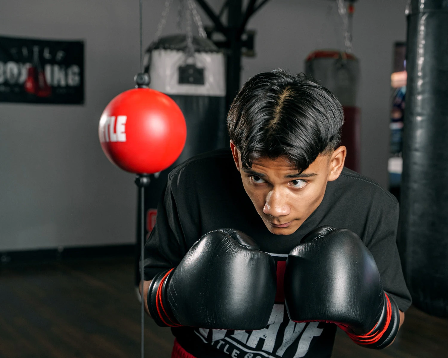 TITLE Boxing Quick Puncher 2.0 4 TITLE Boxing Quick Puncher 2.0 - Image 2