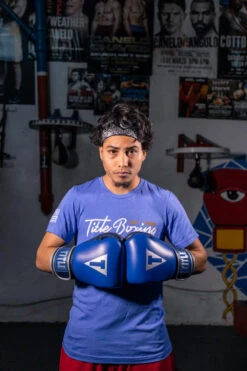 TITLE Boxing Royalty Leather Bag Gloves 17 TITLE Boxing Royalty Leather Bag Gloves -Knockout Gear rybg 3