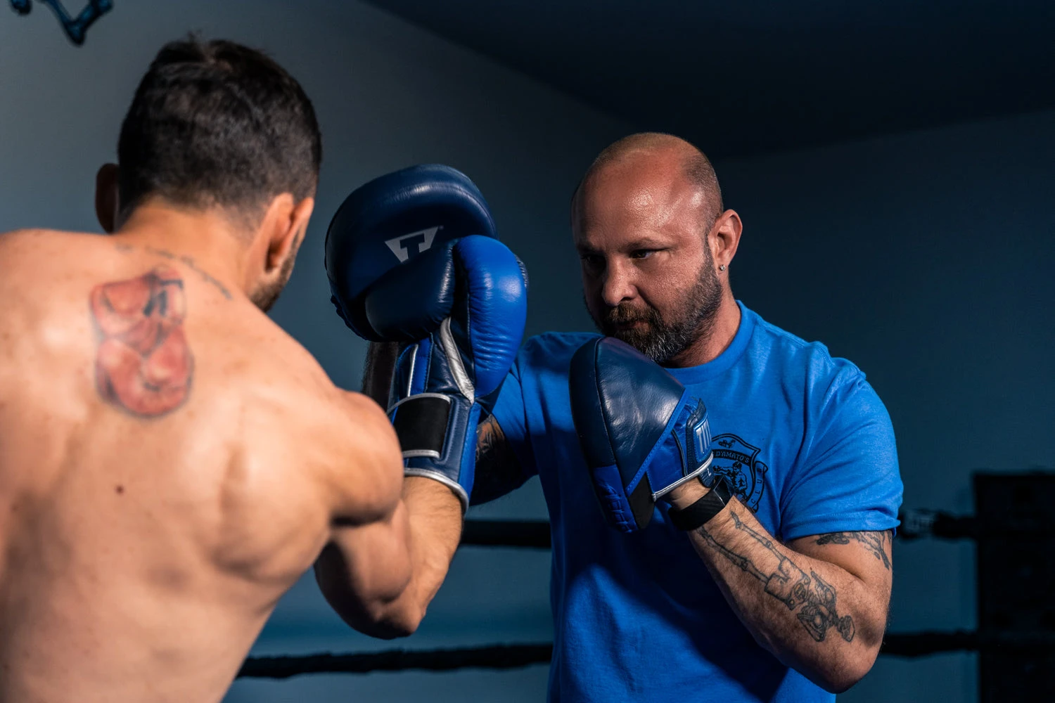 TITLE Boxing Royalty Leather Micro Punch Mitts 8 TITLE Boxing Royalty Leather Micro Punch Mitts - Image 6