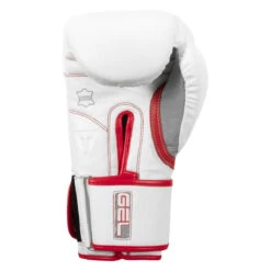 TITLE Boxing Gel Special Edition Bag Gloves -Knockout Gear setgbg sv wh rd 04