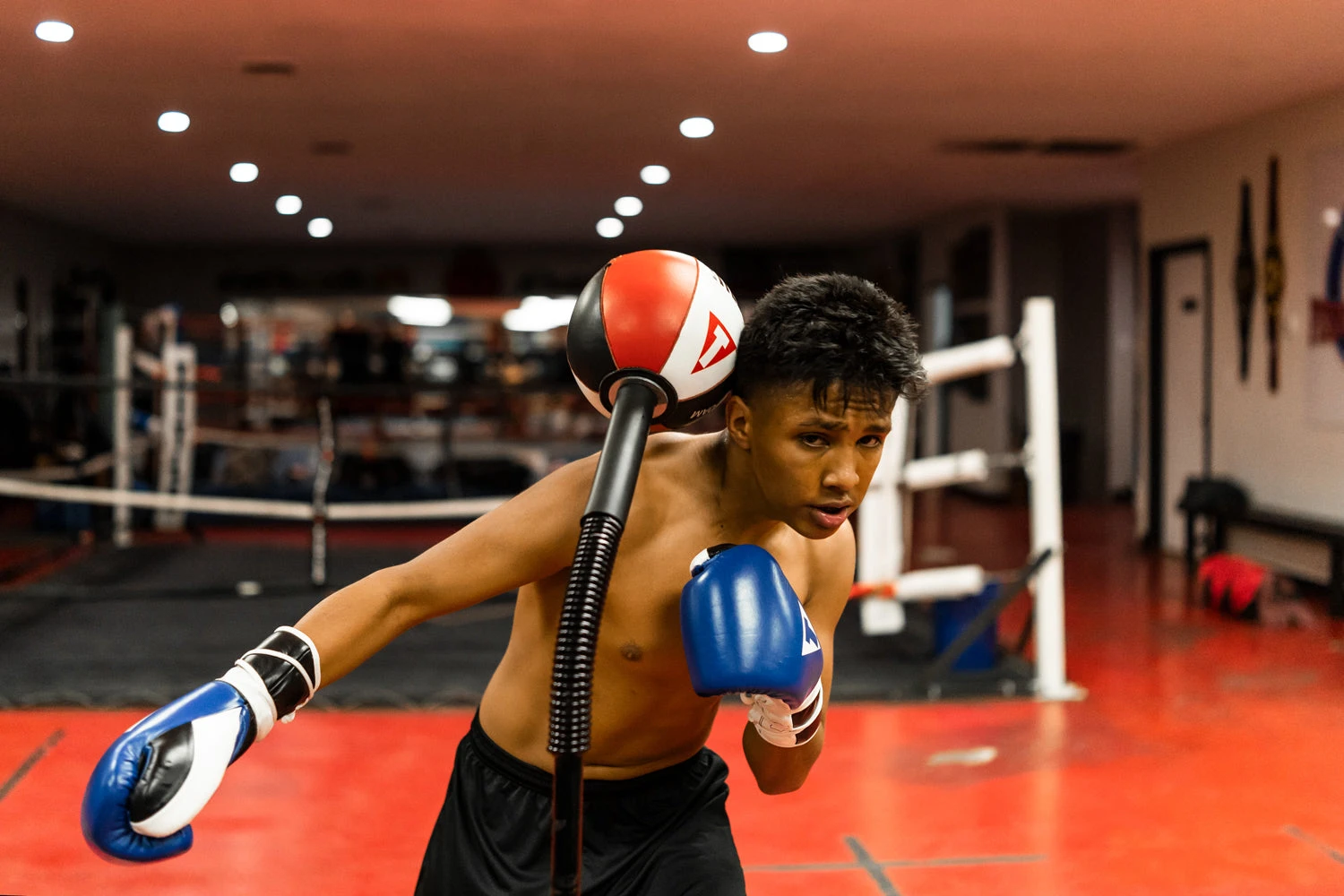 TITLE Boxing Deluxe King Cobra Reflex Bag With Anchor Bags 4 TITLE Boxing Deluxe King Cobra Reflex Bag With Anchor Bags - Image 2