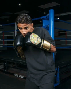 WBC By TITLE Boxing Green Belt Training Gloves 1.0 17 WBC By TITLE Boxing Green Belt Training Gloves 1.0 -Knockout Gear wgbtg bk 1 1